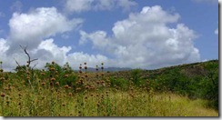 201104-05_DiamondHead